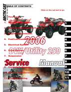 2006 Arctic Cat DVX Utility 250 Service Manual